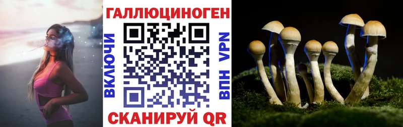 Псилоцибиновые грибы прущие грибы  Купить закладки  Игарка 